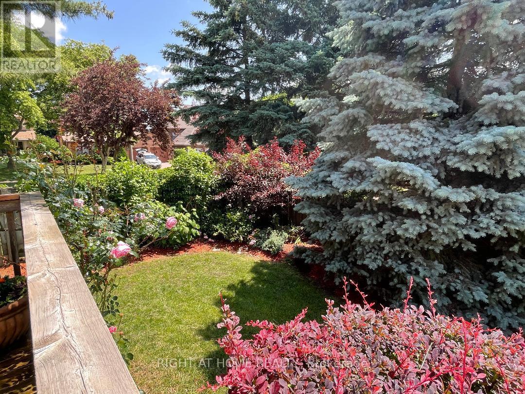 3668 Belvedere Crescent, Mississauga, Ontario  L5L 3B4 - Photo 37 - W12236805