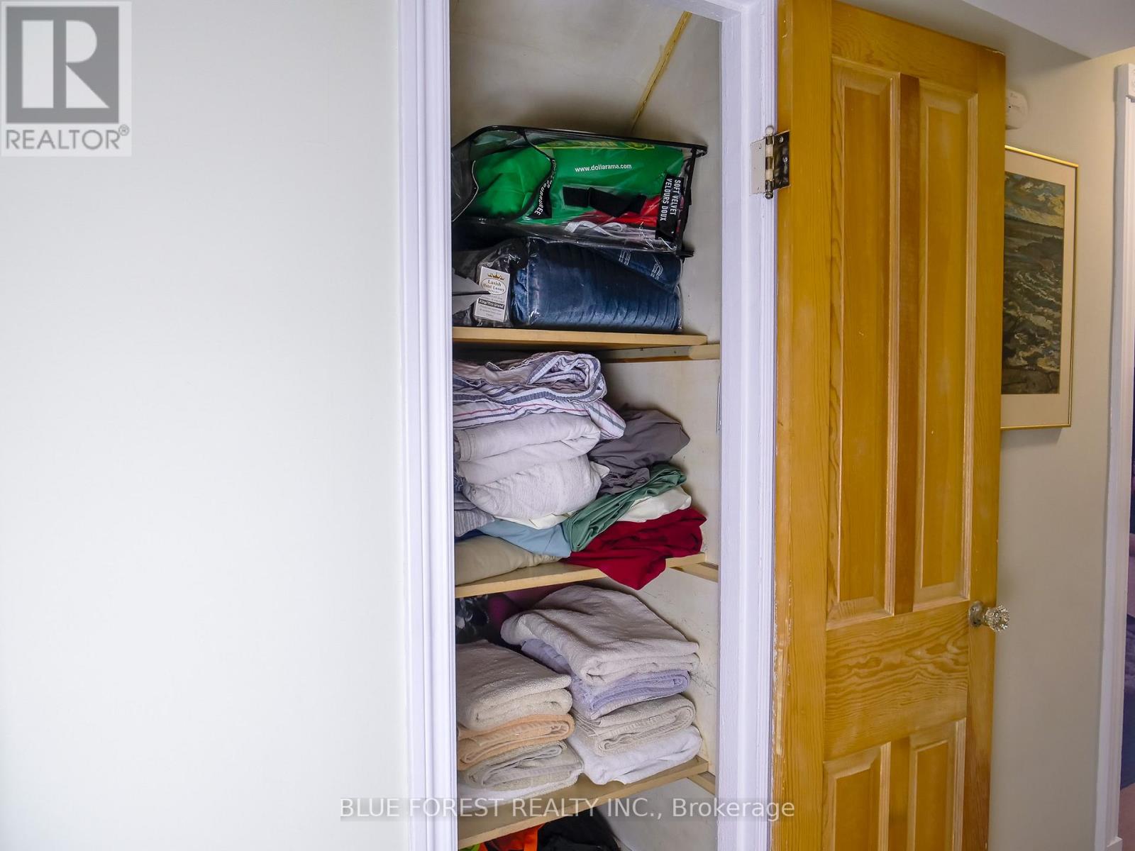 183 Nancy Street, Dutton/dunwich, Ontario  N0L 1J0 - Photo 31 - X12638564