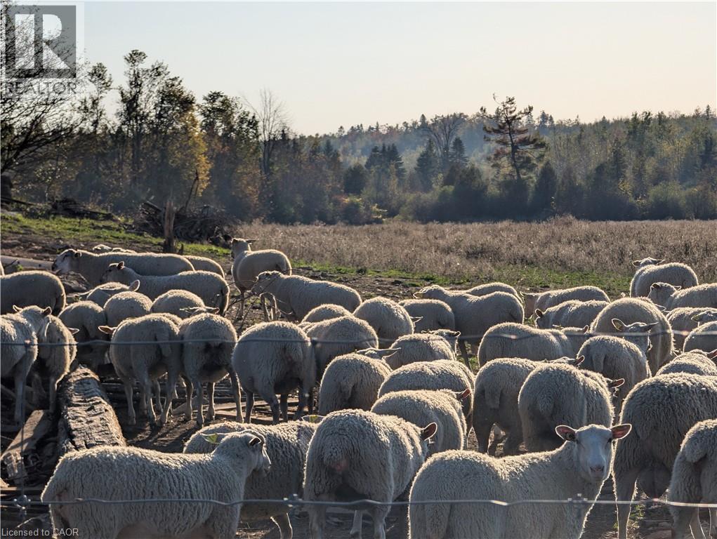 229 Creek View Road, Woodville, Ontario  K0M 2T0 - Photo 2 - 40793771