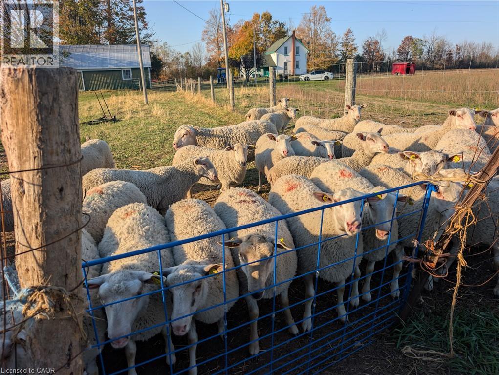 229 Creek View Road, Woodville, Ontario  K0M 2T0 - Photo 27 - 40793771