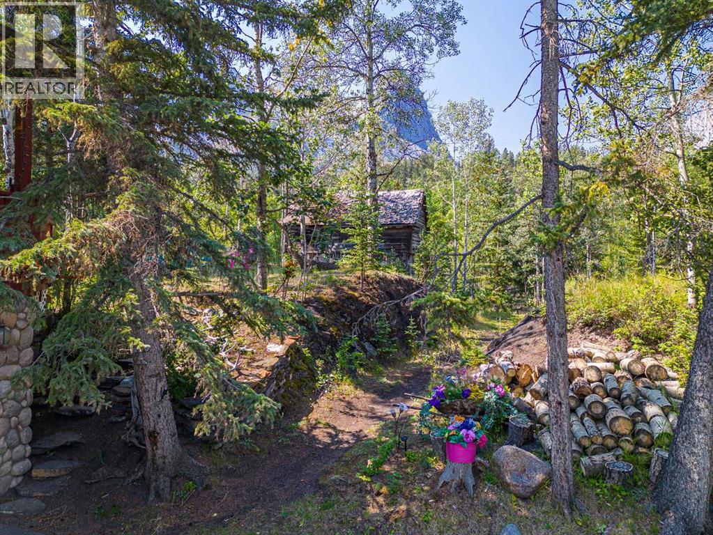 107 Three Sisters Drive, Canmore, Alberta  T1W 2M3 - Photo 14 - A2071413