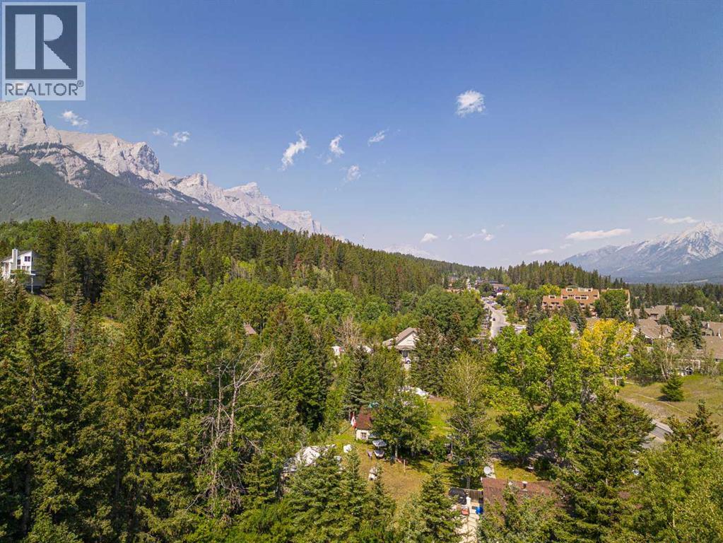 107 Three Sisters Drive, Canmore, Alberta  T1W 2M3 - Photo 13 - A2071413