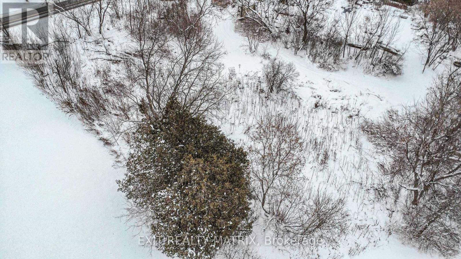 17344 Highway 43 Acres, North Stormont, Ontario  K0C 1G0 - Photo 7 - X12638748