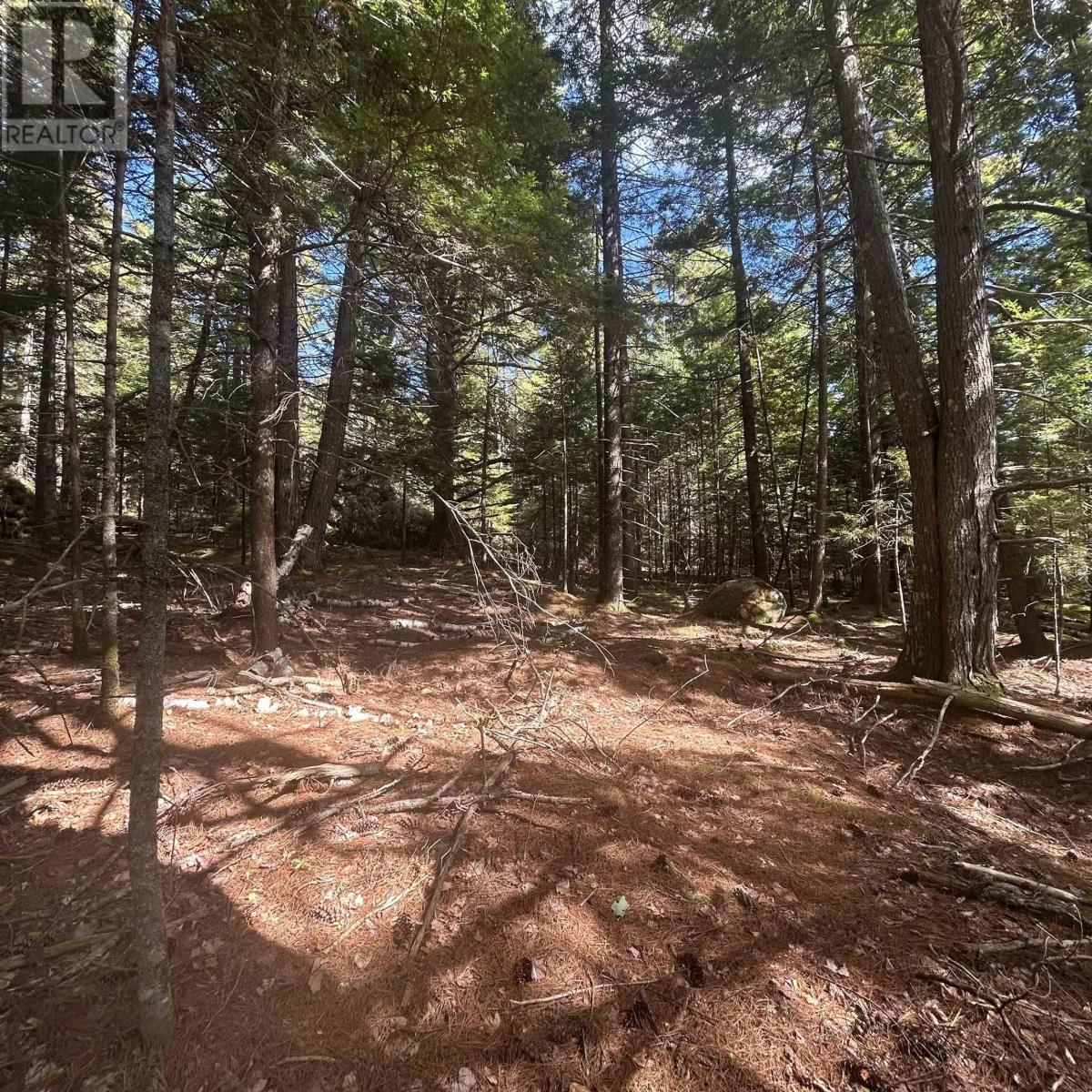 Lot 25-4 Conquerall Mills Road, Conquerall Mills, Nova Scotia B4V 7A3 - Photo 5 - 202524598