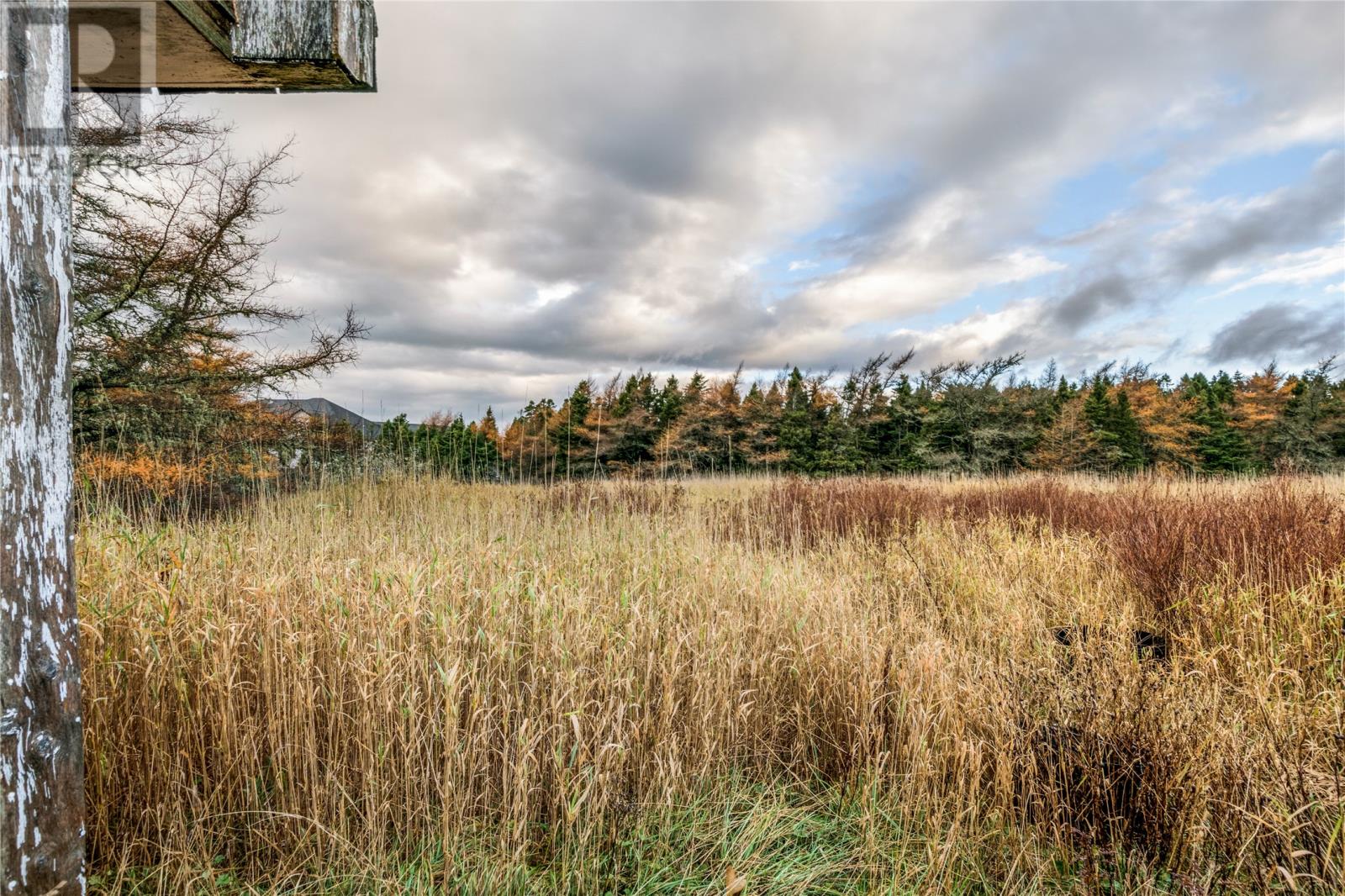 115 Cadigans Road, Logy Bay-Middle Cove-Outer Cove, Newfoundland & Labrador  A1K 3A2 - Photo 15 - 1293332