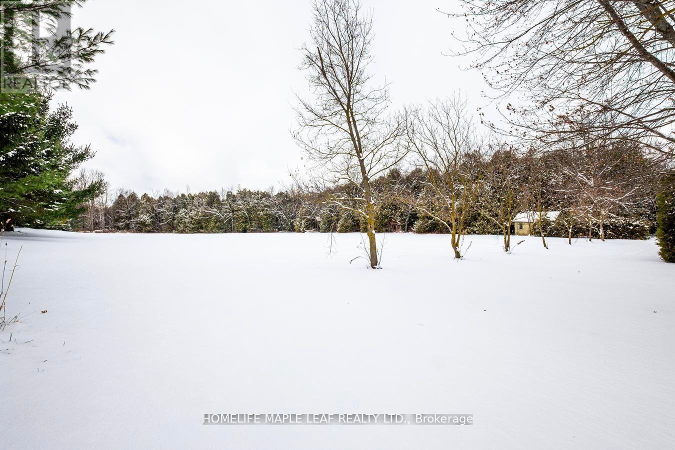 253048 9th Line, Amaranth, Ontario  L9W 0G9 - Photo 43 - X12638802