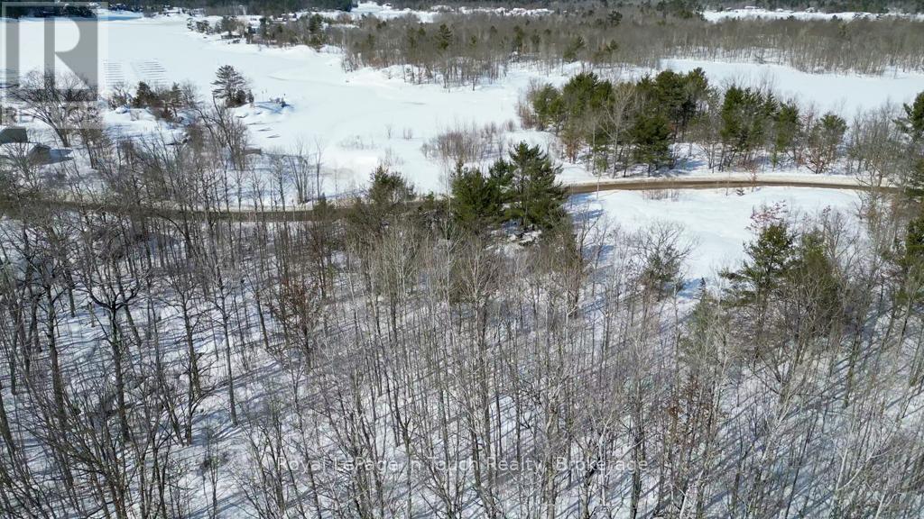 408 South Bay Road, Georgian Bay, Ontario L0K 1S0 - Photo 3 - X12638856