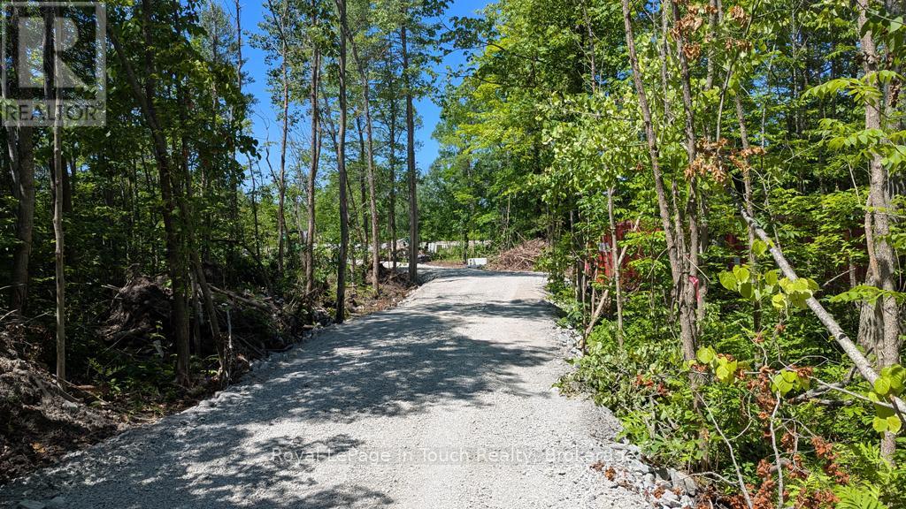 434 South Bay Road, Georgian Bay, Ontario L0K 1S0 - Photo 12 - X12638940