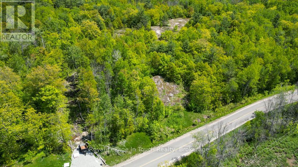434 South Bay Road, Georgian Bay, Ontario L0K 1S0 - Photo 4 - X12638940