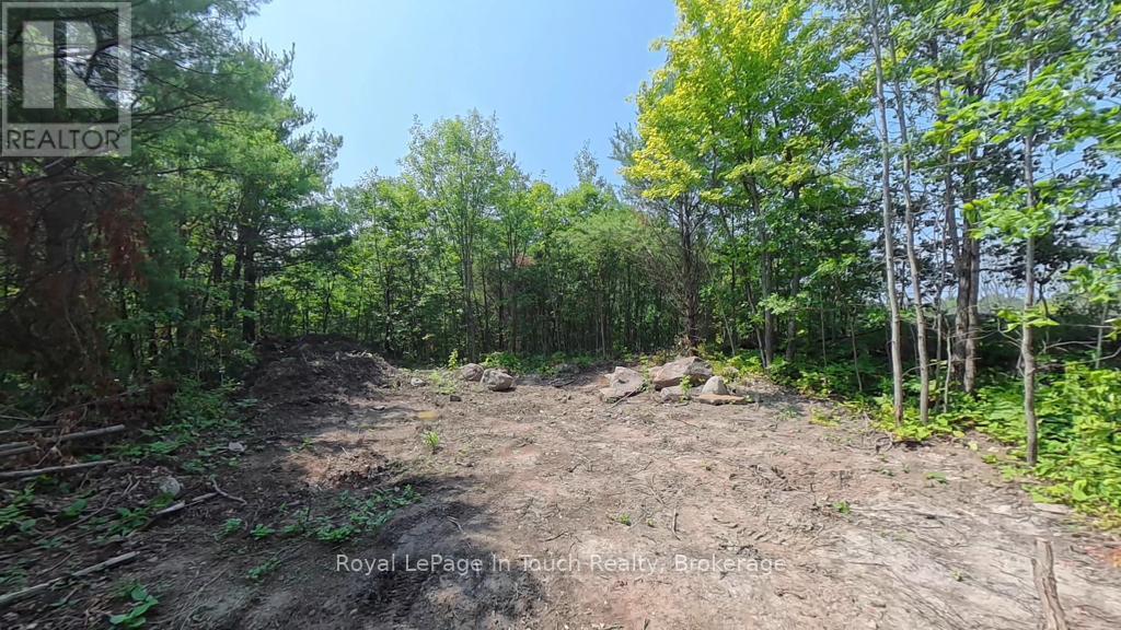 434 South Bay Road, Georgian Bay, Ontario L0K 1S0 - Photo 8 - X12638940