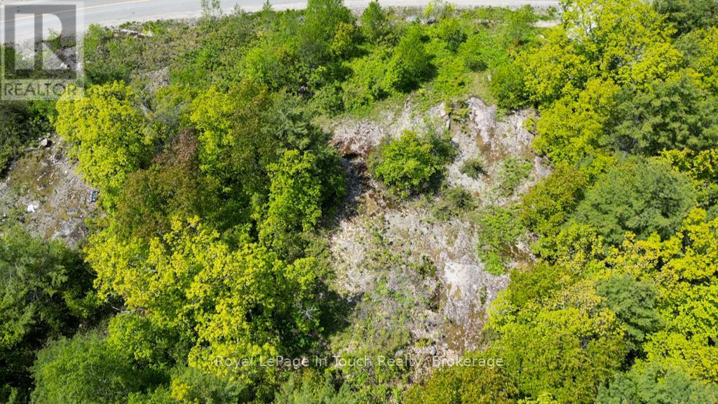446 South Bay Road, Georgian Bay, Ontario L0K 1S0 - Photo 6 - X12638988