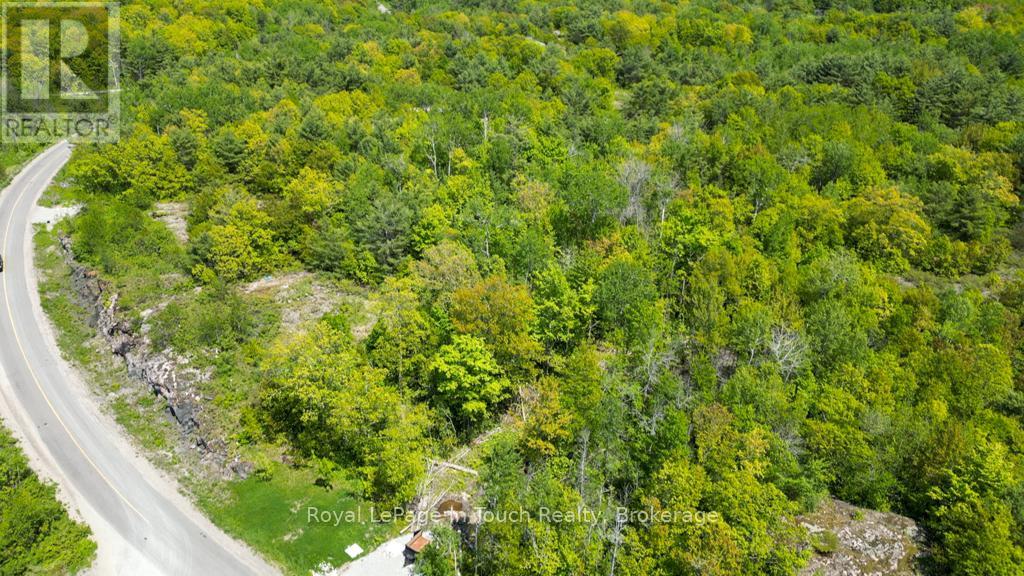 446 South Bay Road, Georgian Bay, Ontario L0K 1S0 - Photo 8 - X12638988