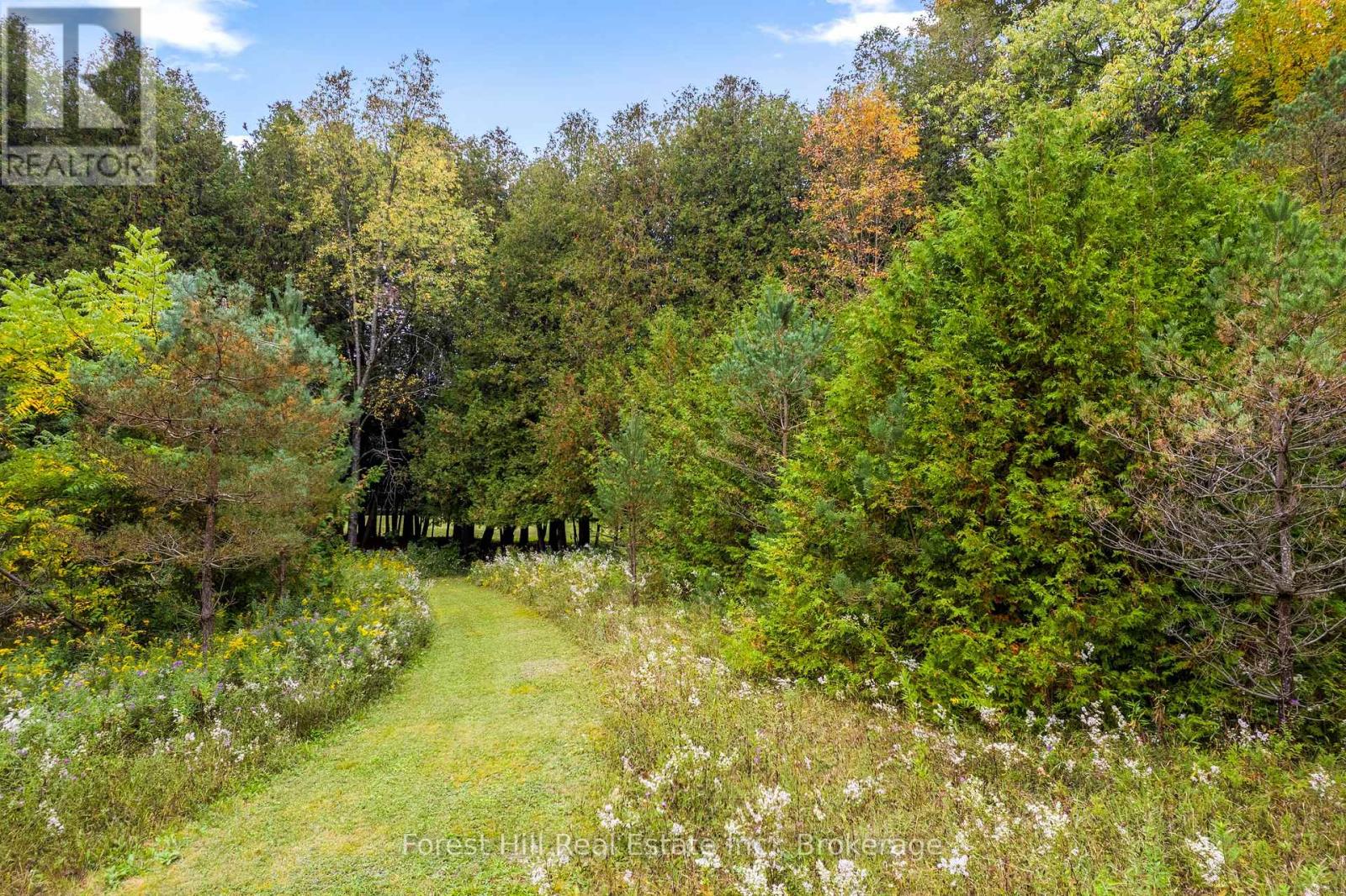 403288 Grey Road 4, West Grey, Ontario  N0G 1R0 - Photo 38 - X12433245