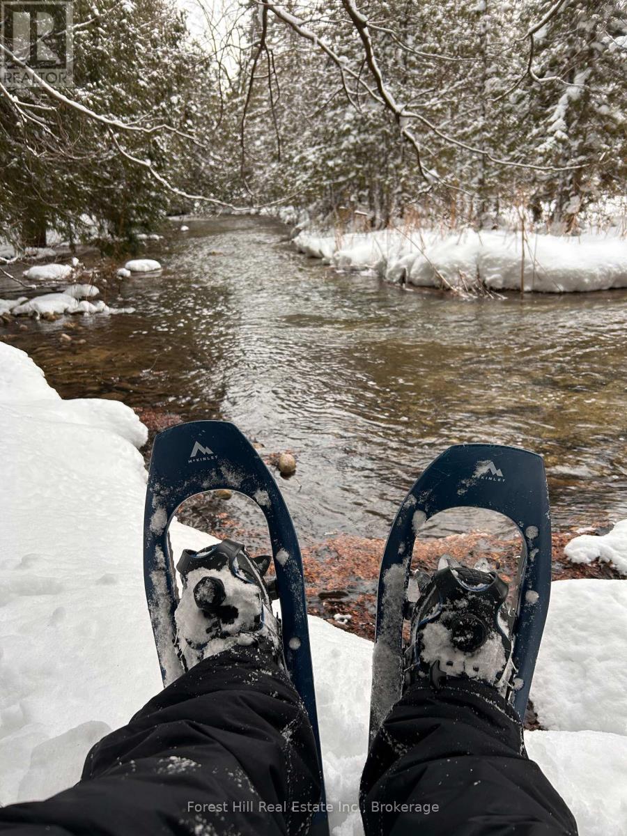 403288 Grey Road 4, West Grey, Ontario  N0G 1R0 - Photo 41 - X12433245