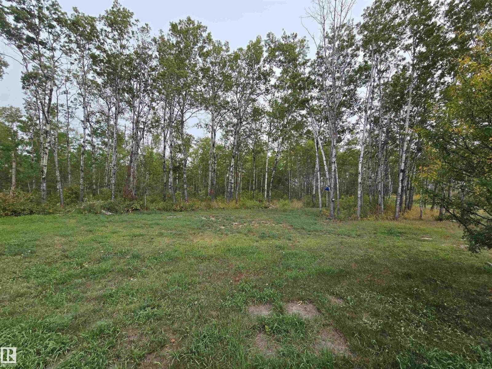 62219 Range Road 463 Rd, Rural Bonnyville M.d., Alberta  T9N 0H1 - Photo 8 - E4468298