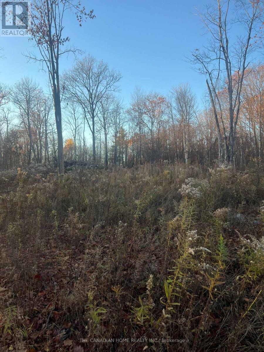 Lot 18 - 28 Kirkhill Drive, Bracebridge, Ontario  P1L 0A1 - Photo 2 - X12639068