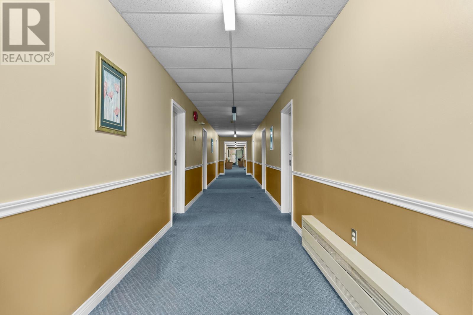 143 Columbus Drive, Carbonear, Newfoundland & Labrador  A1Y 1A6 - Photo 22 - 1293340