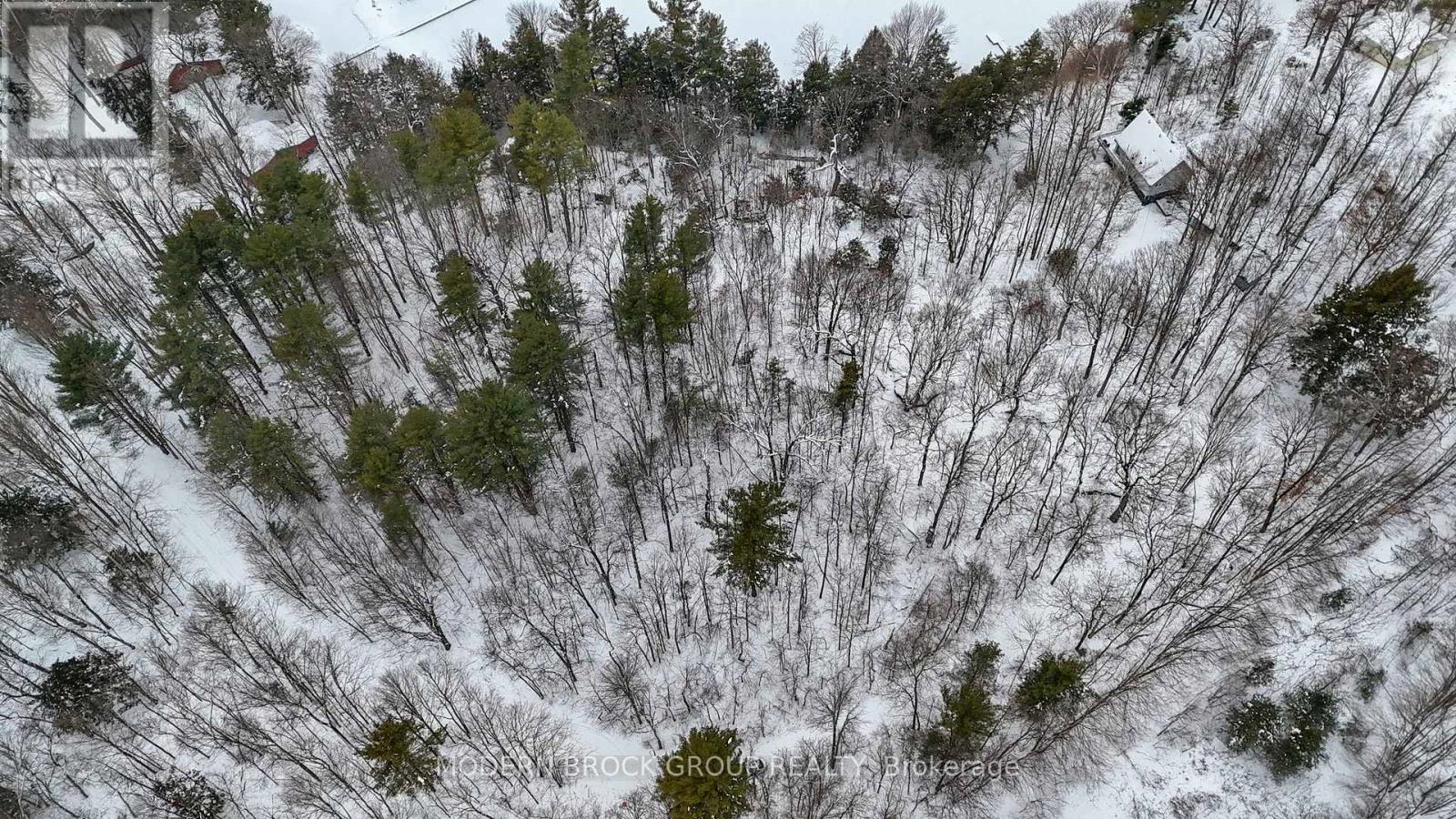 821 Wildlife Lane, Leeds And The Thousand Islands, Ontario  K0E 1N0 - Photo 1 - X12639190