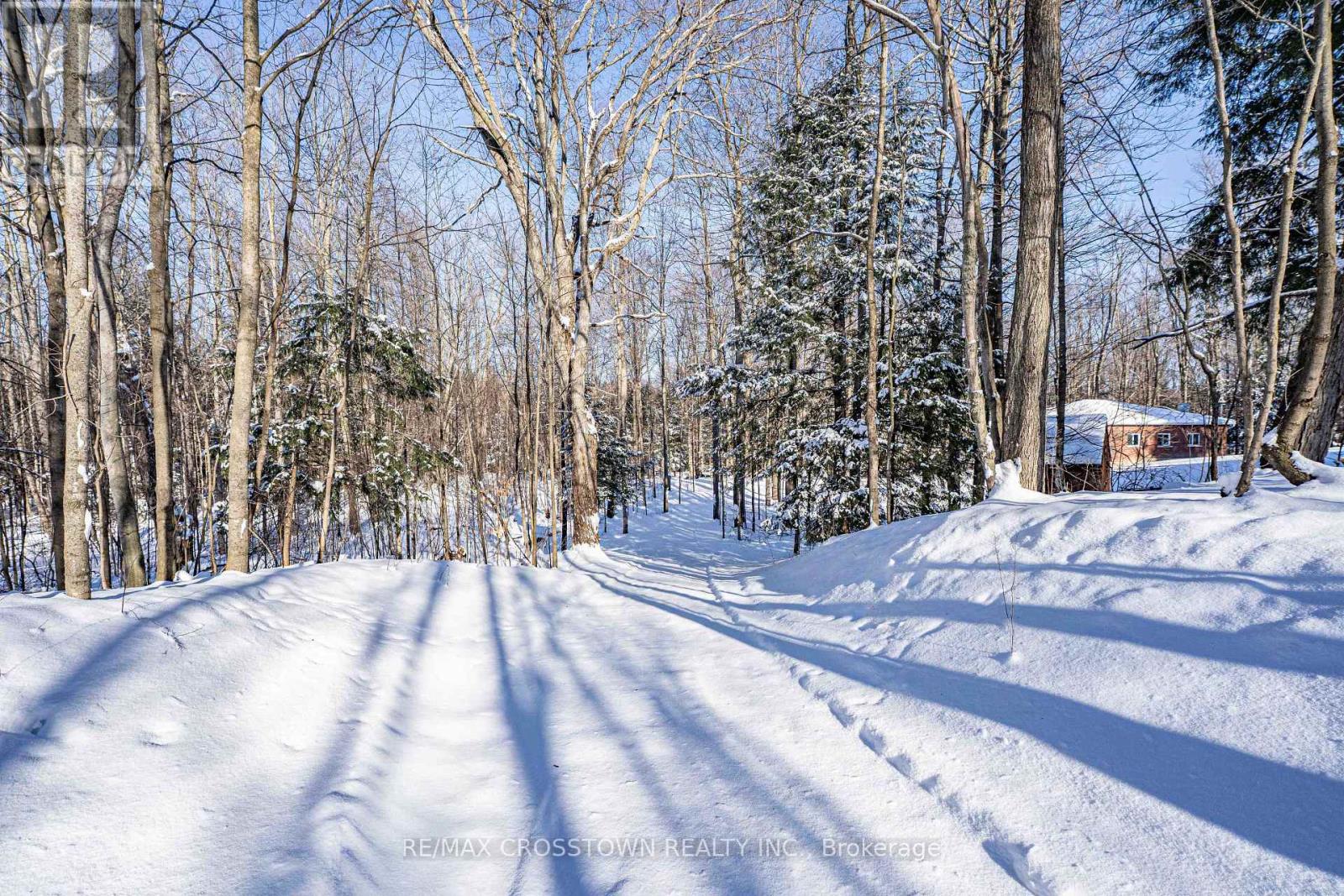 19 Gillespie Trail S, Essa, Ontario  L3W 0V1 - Photo 40 - N12577288