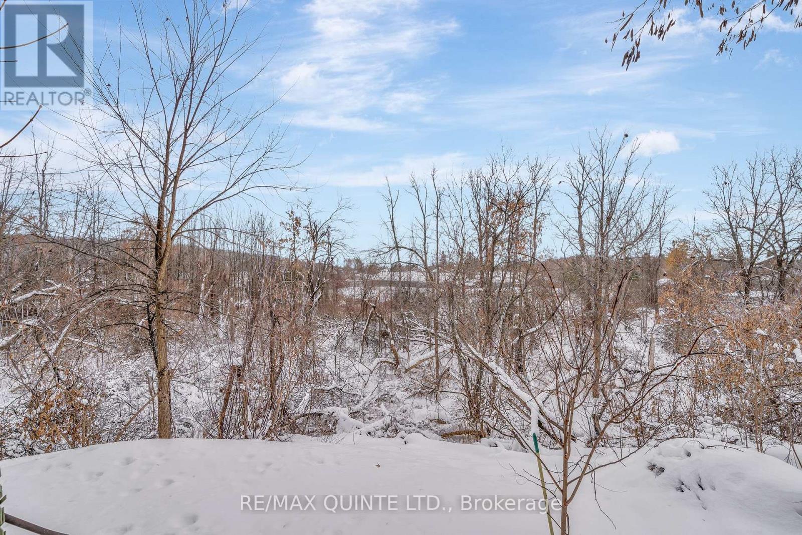 185 Wallace Street, Trent Hills, Ontario  K0L 1L0 - Photo 46 - X12639376