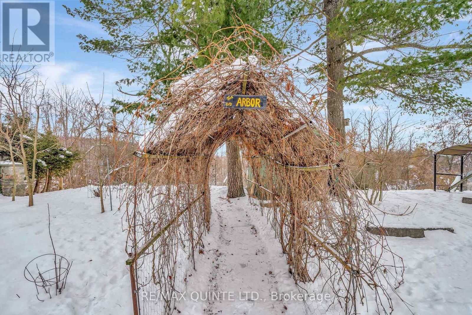 185 Wallace Street, Trent Hills, Ontario  K0L 1L0 - Photo 47 - X12639376