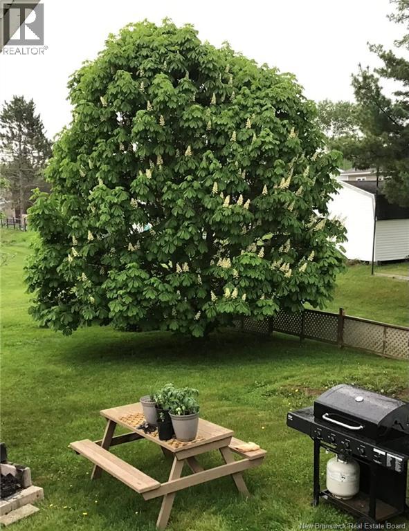 318 Sunset, Beresford, New Brunswick E8K 2G6 - Photo 29 - NB131346