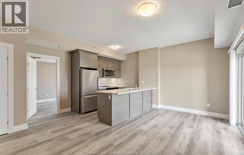 955 Ouellette Avenue Unit# 205, Windsor, Ontario N9A 4J5 - Photo 12 - 25031638