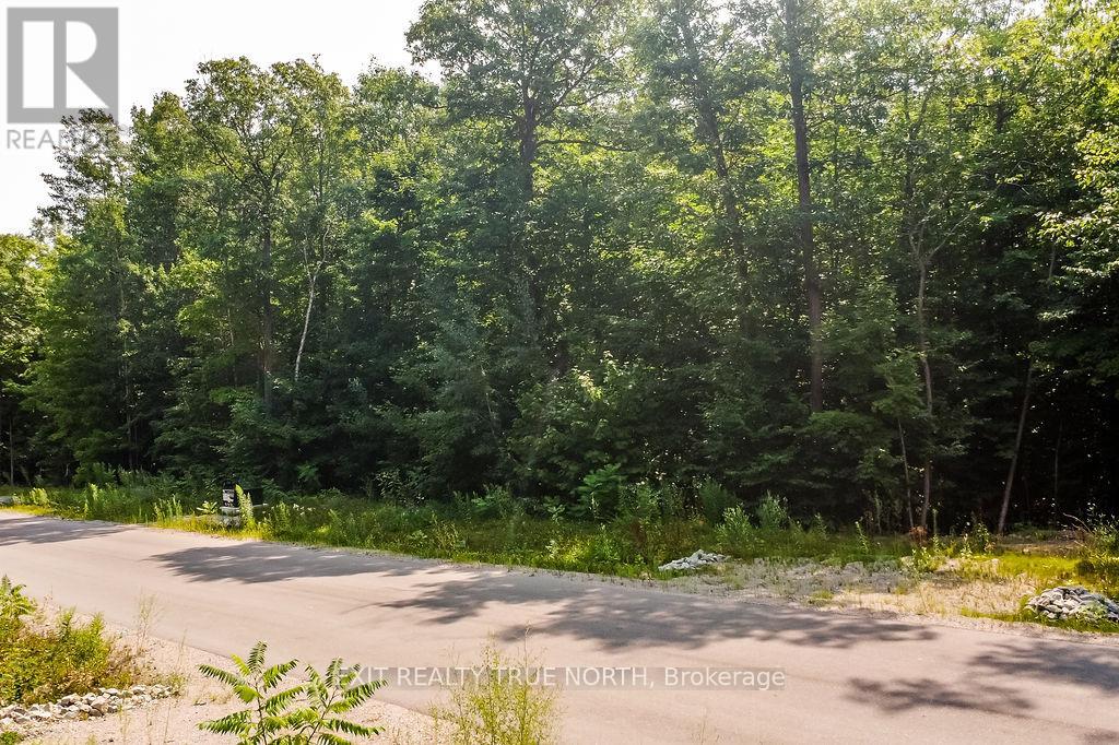 Lt 45 Explorers Landing, Tiny, Ontario  L9M 0C2 - Photo 3 - S12639398