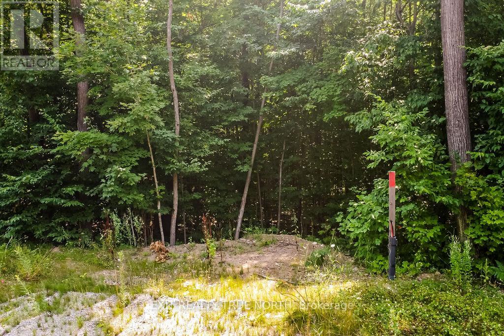 Lt 45 Explorers Landing, Tiny, Ontario  L9M 0C2 - Photo 4 - S12639398