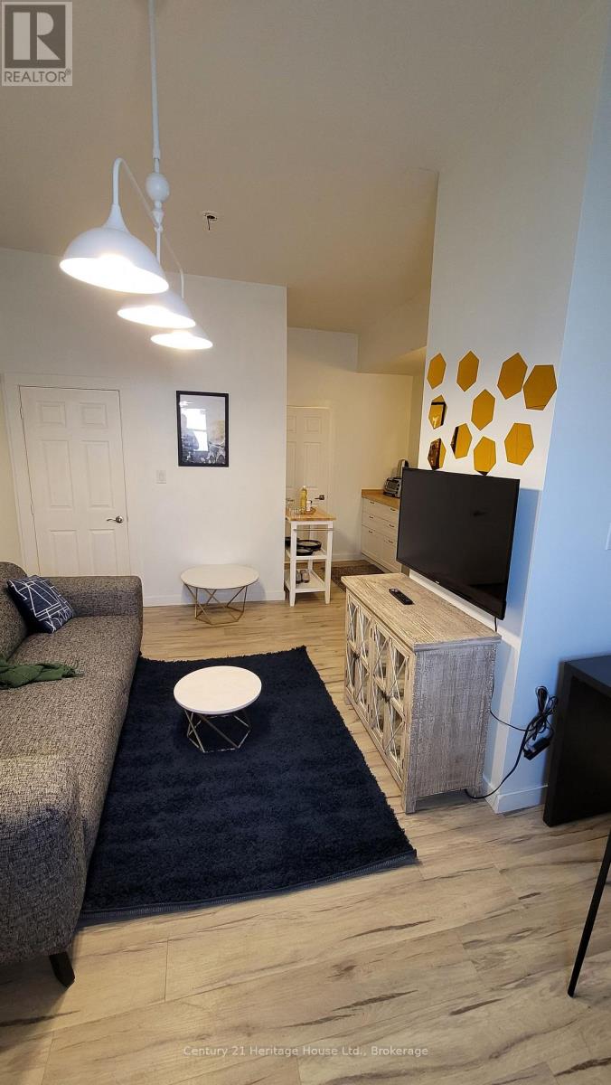 1 - 212 Wilson Street, Hamilton, Ontario L8R 1E5 - Photo 3 - X12639518