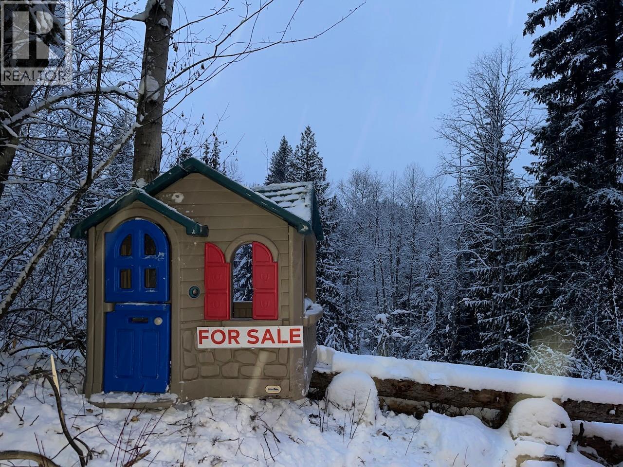 1176 Golden Donald Upper Road, Golden, British Columbia  V0A 1H1 - Photo 2 - 10350370