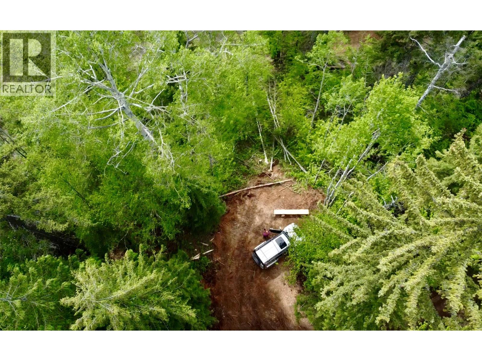 1176 Golden Donald Upper Road, Golden, British Columbia  V0A 1H1 - Photo 5 - 10350370