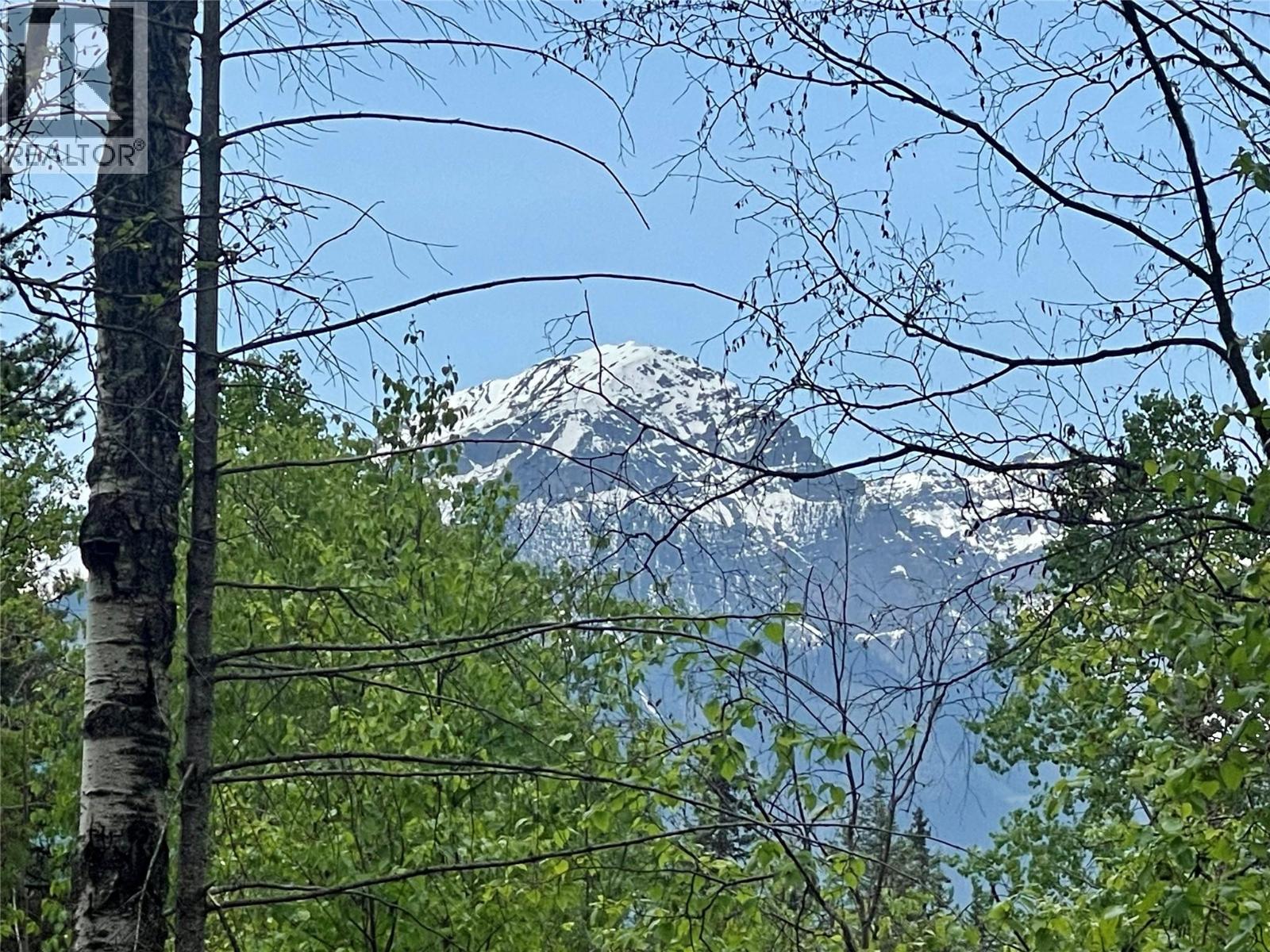 1176 Golden Donald Upper Road, Golden, British Columbia  V0A 1H1 - Photo 4 - 10350370