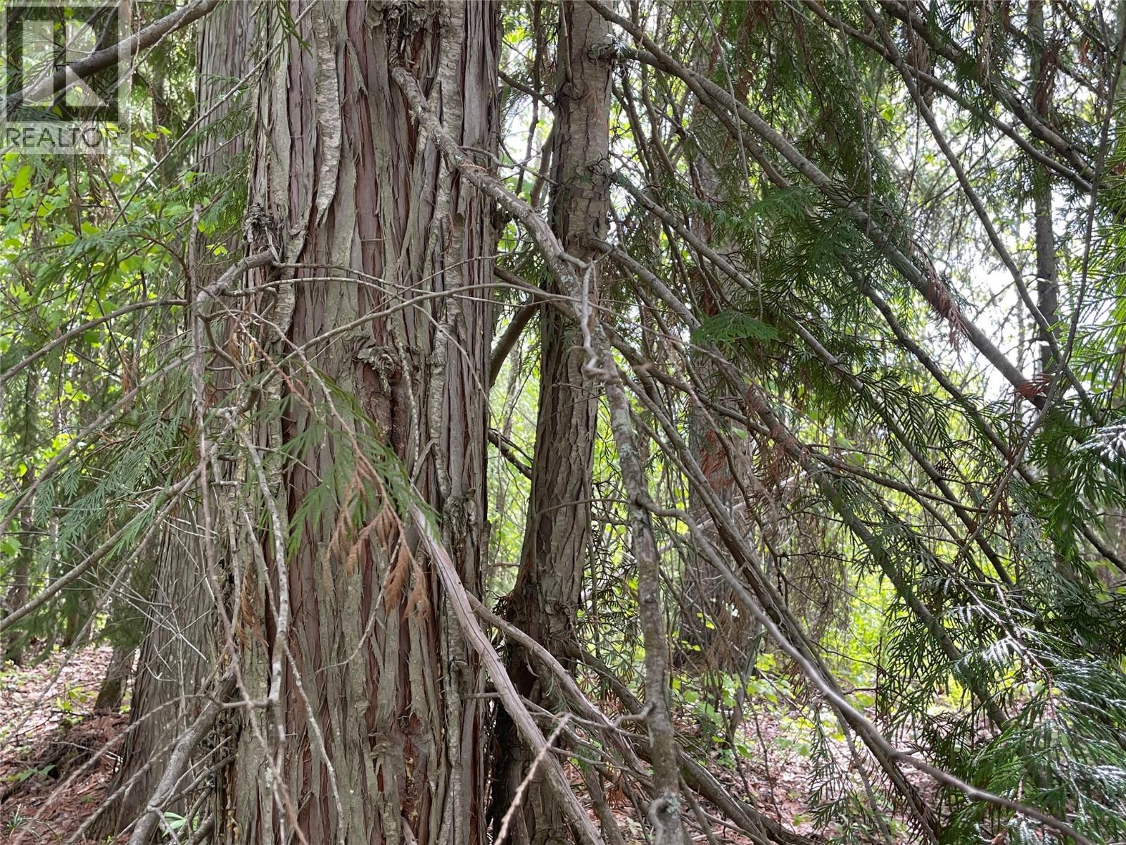 1176 Golden Donald Upper Road, Golden, British Columbia  V0A 1H1 - Photo 13 - 10350370