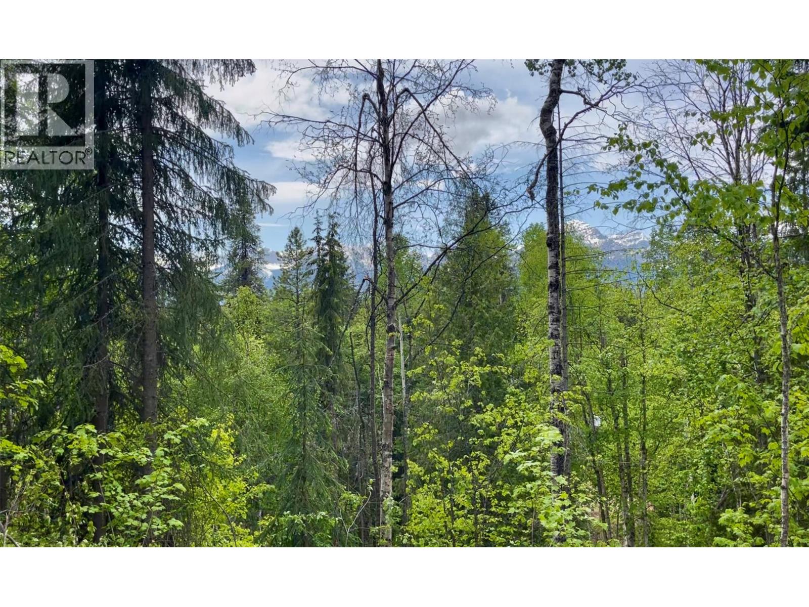 1176 Golden Donald Upper Road, Golden, British Columbia  V0A 1H1 - Photo 11 - 10350370