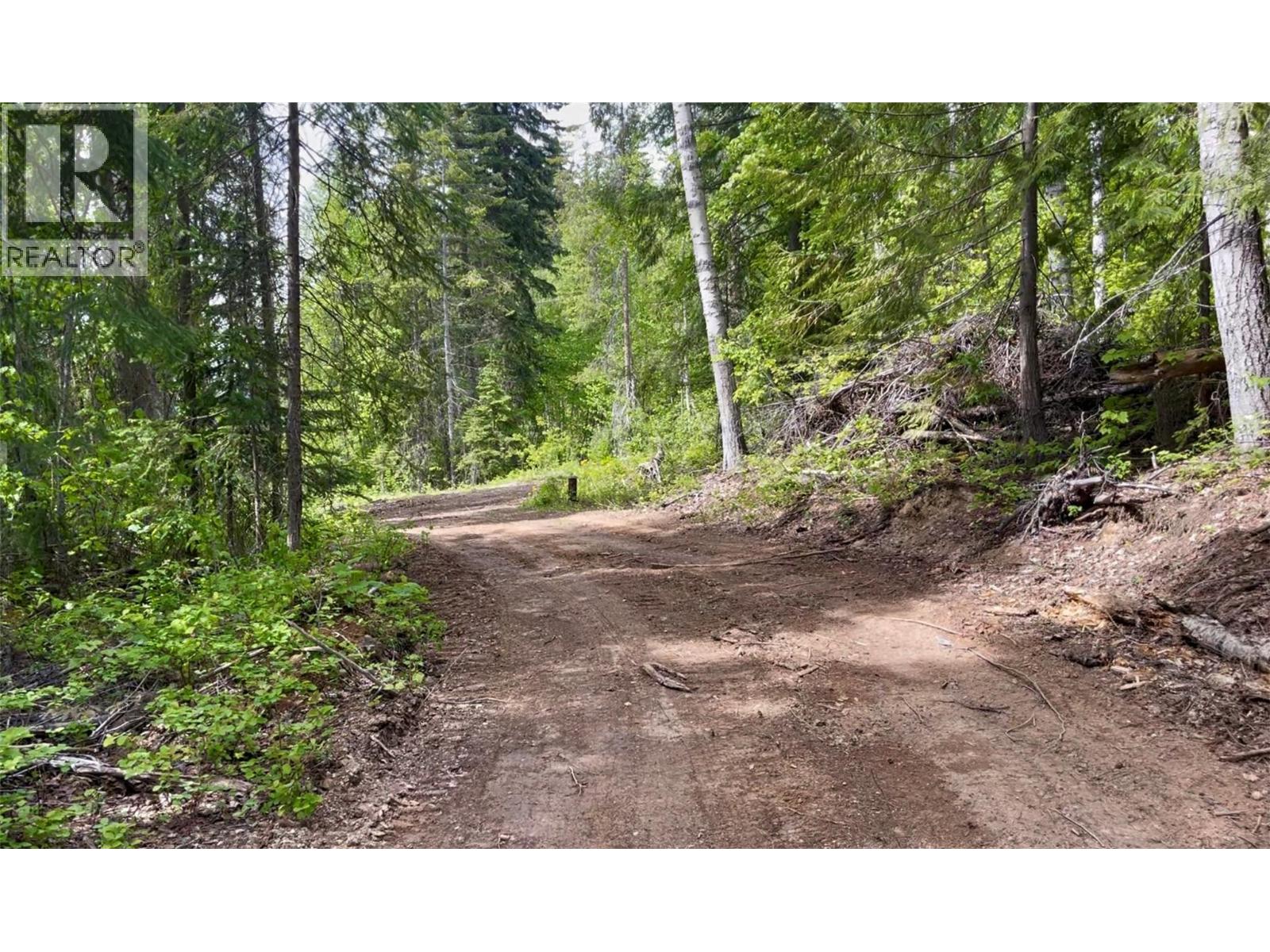 1176 Golden Donald Upper Road, Golden, British Columbia  V0A 1H1 - Photo 10 - 10350370