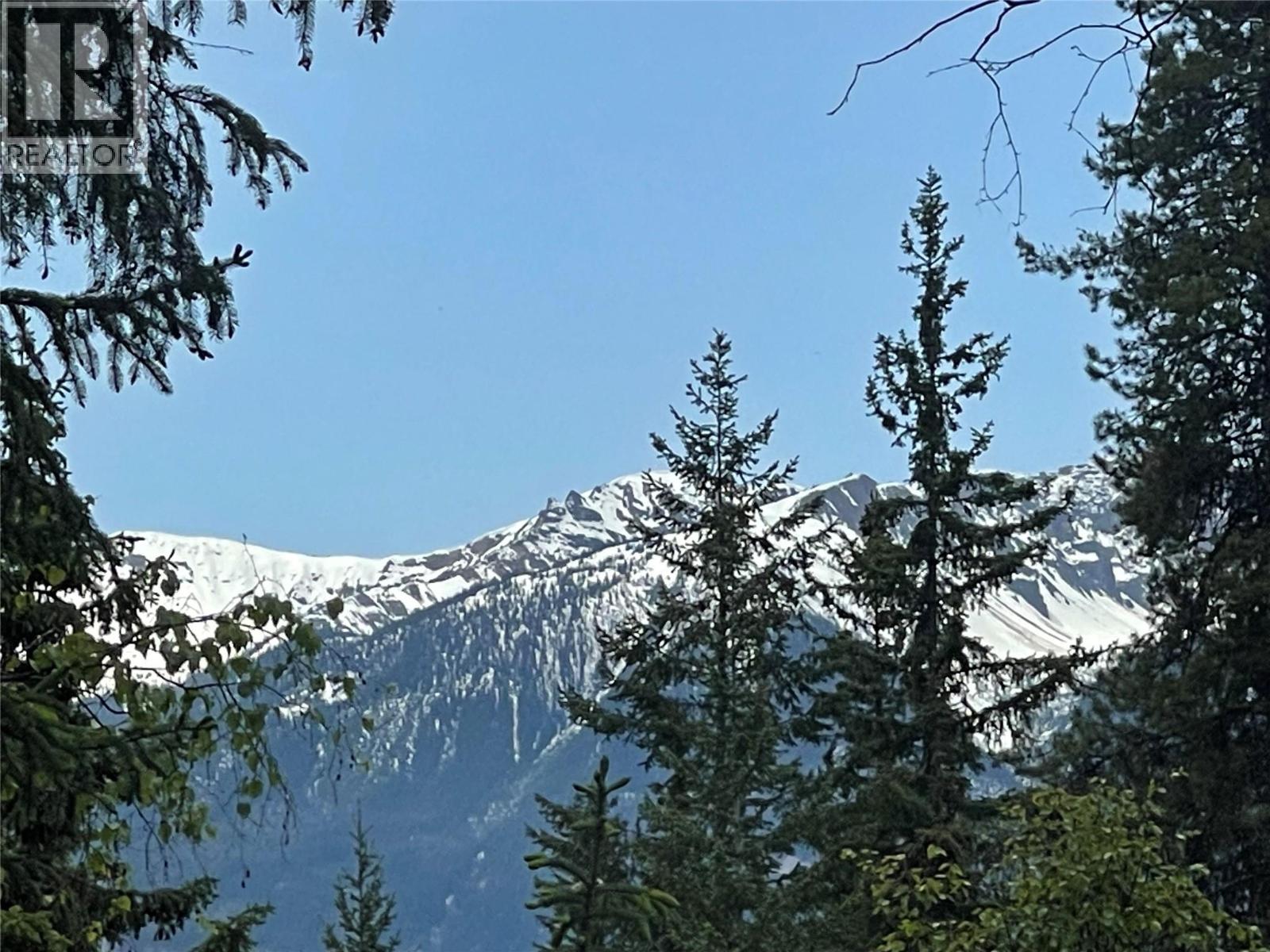 1176 Golden Donald Upper Road, Golden, British Columbia  V0A 1H1 - Photo 8 - 10350370