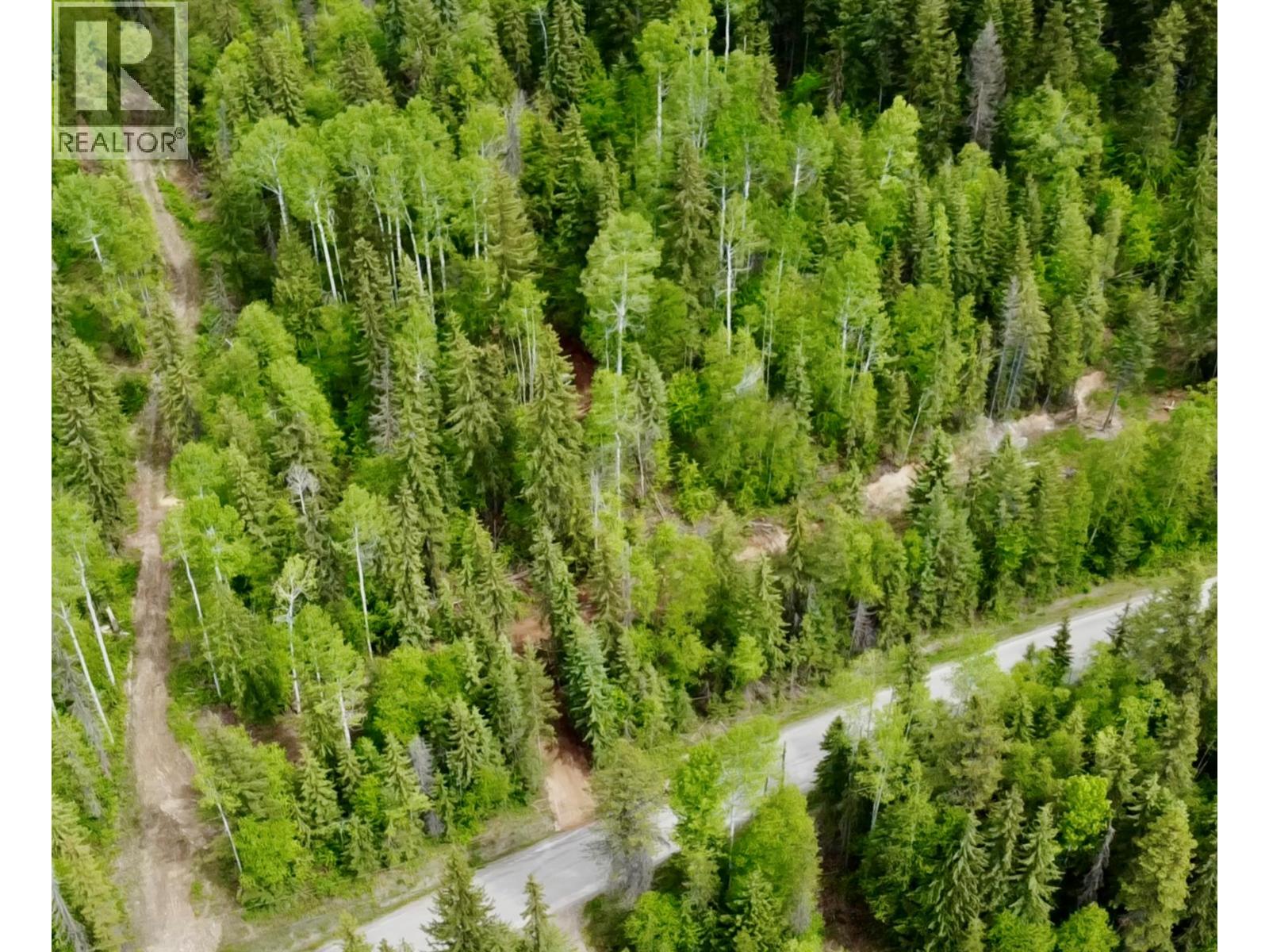 1176 Golden Donald Upper Road, Golden, British Columbia  V0A 1H1 - Photo 19 - 10350370