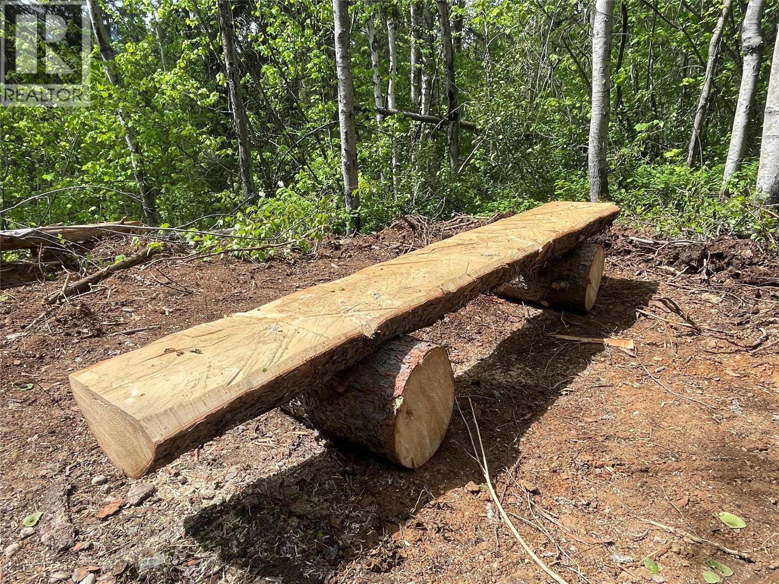 1176 Golden Donald Upper Road, Golden, British Columbia  V0A 1H1 - Photo 7 - 10350370