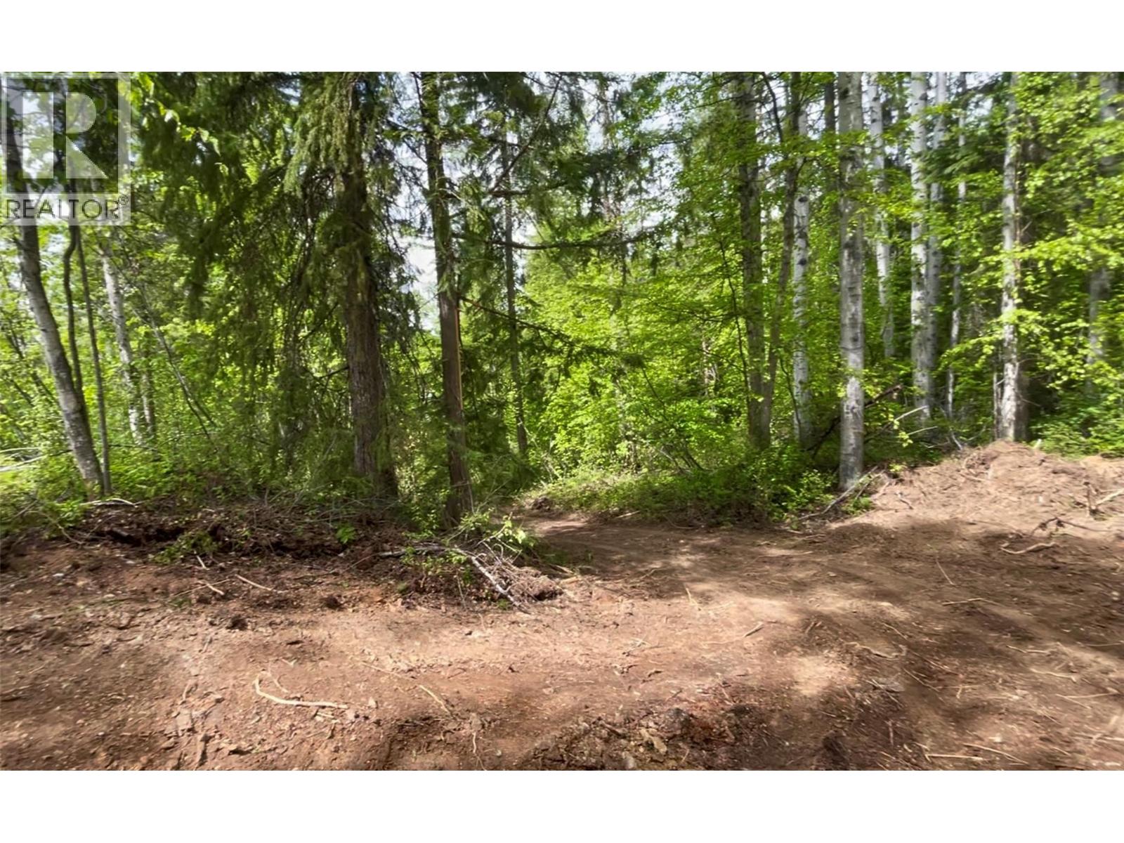 1176 Golden Donald Upper Road, Golden, British Columbia  V0A 1H1 - Photo 17 - 10350370