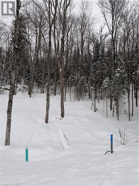 23 St Andrews Circle, Huntsville, Ontario  P1H 1B1 - Photo 3 - 40792959