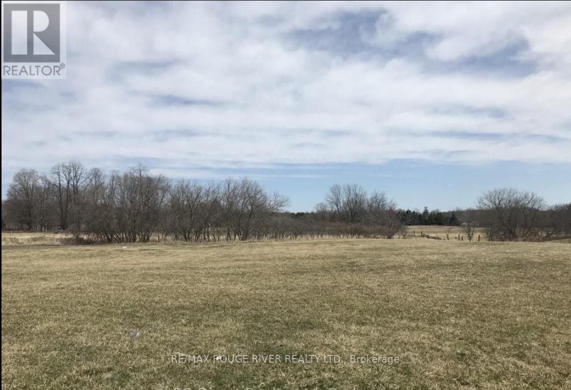 201 LISGAR STREET, Brighton, Ontario