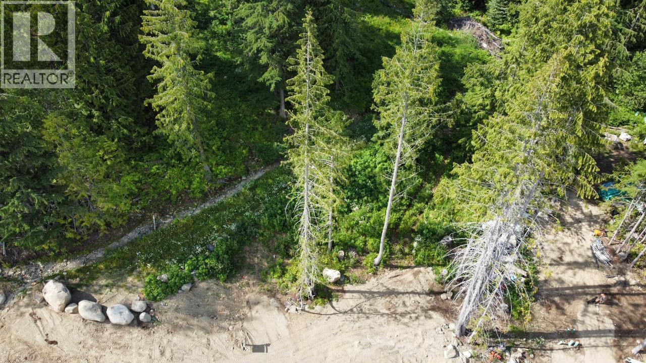 311 Ridge Road, Rossland, British Columbia  V0G 1Y0 - Photo 7 - 10371163