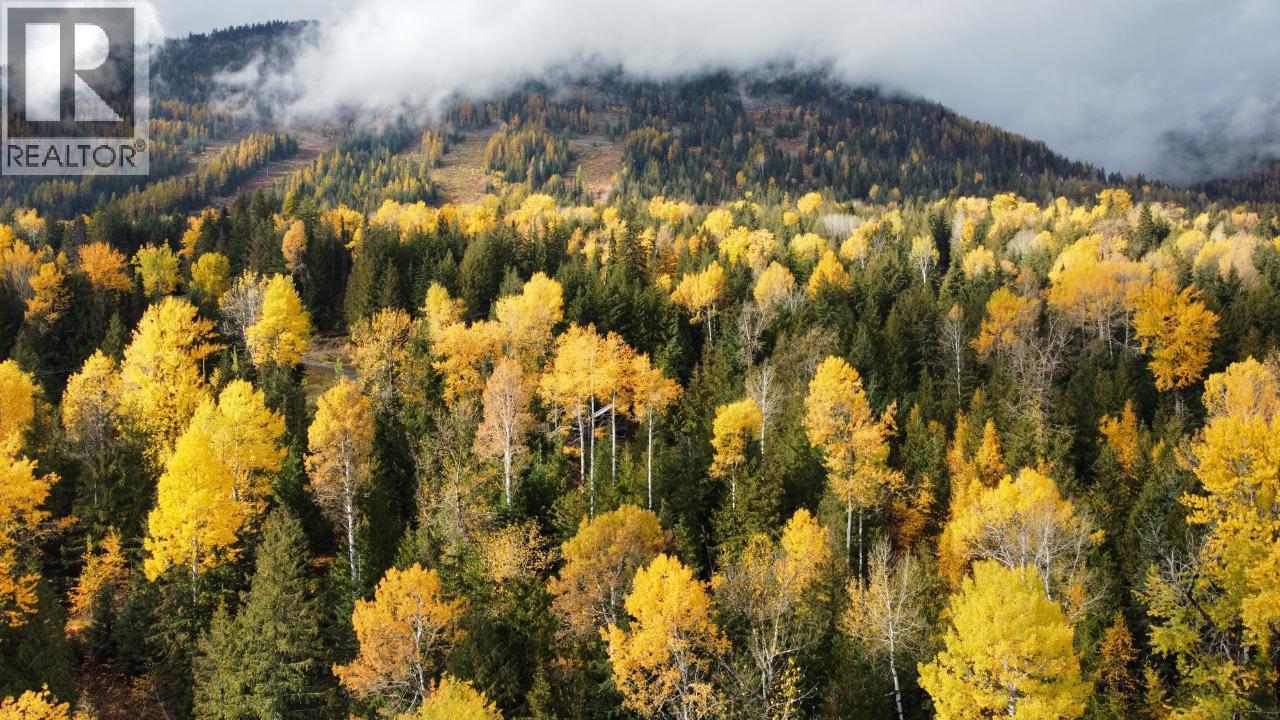 311 Ridge Road, Rossland, British Columbia  V0G 1Y0 - Photo 12 - 10371163