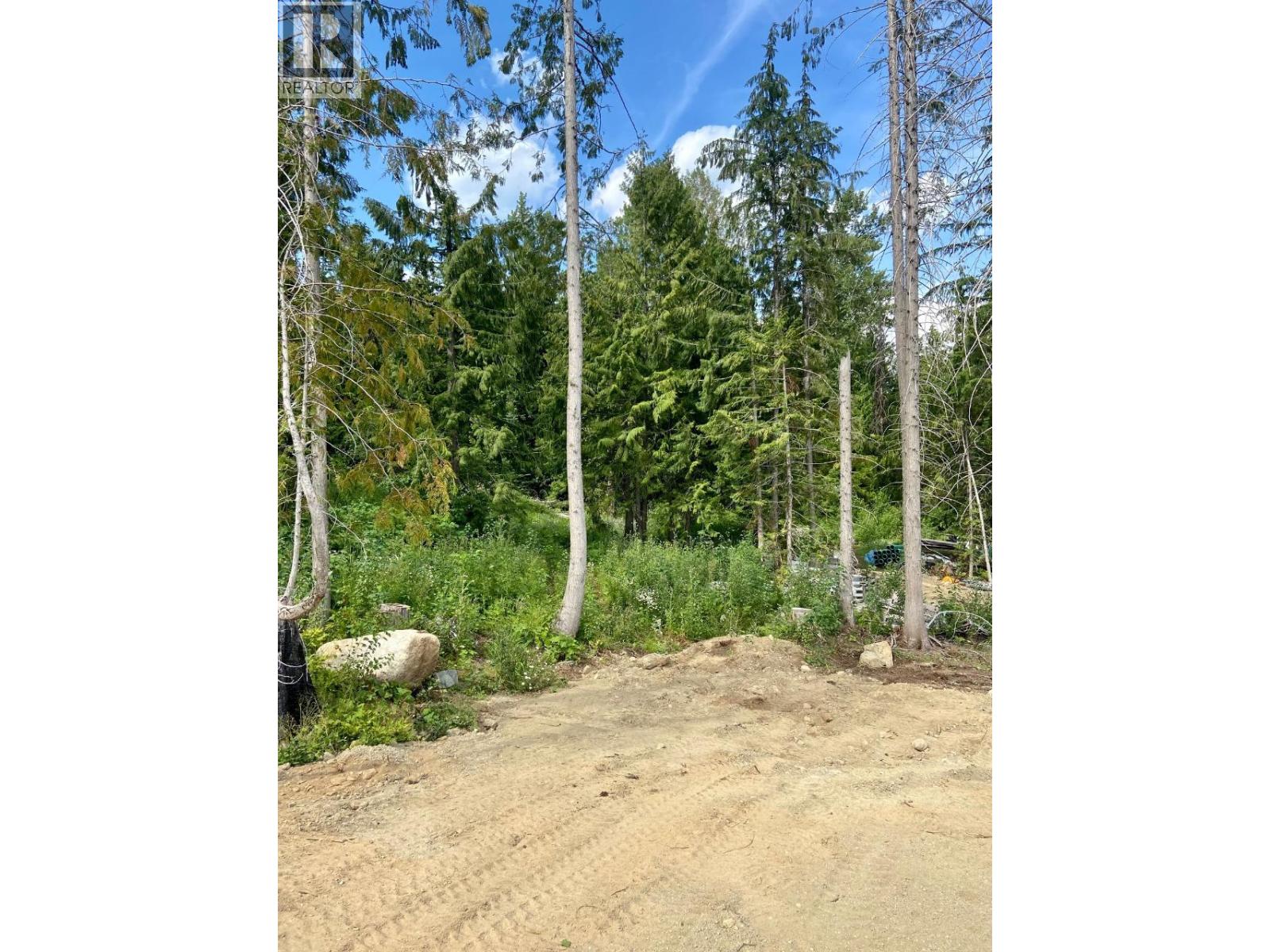 311 Ridge Road, Rossland, British Columbia  V0G 1Y0 - Photo 3 - 10371163