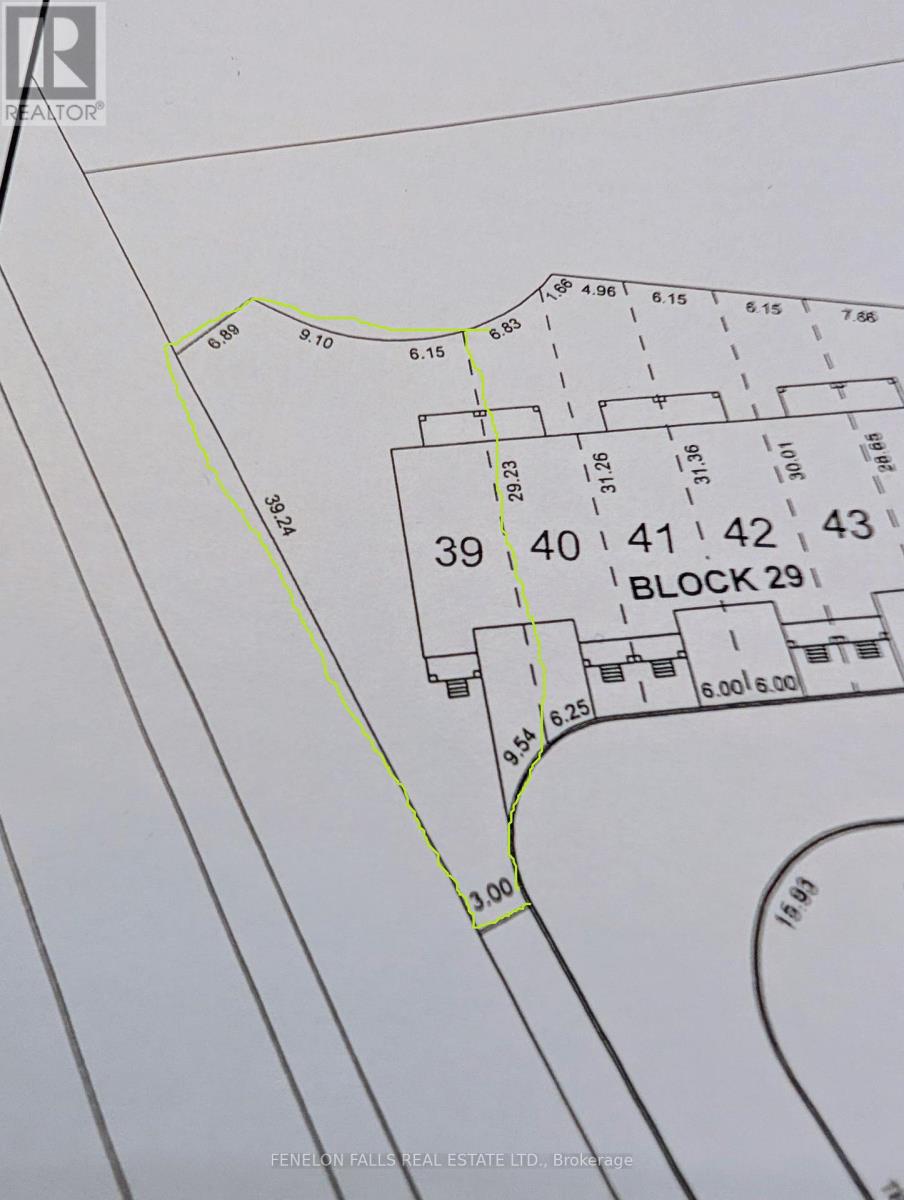 25 Hickey Lane, Kawartha Lakes, Ontario  K9V 0T3 - Photo 34 - X12639802