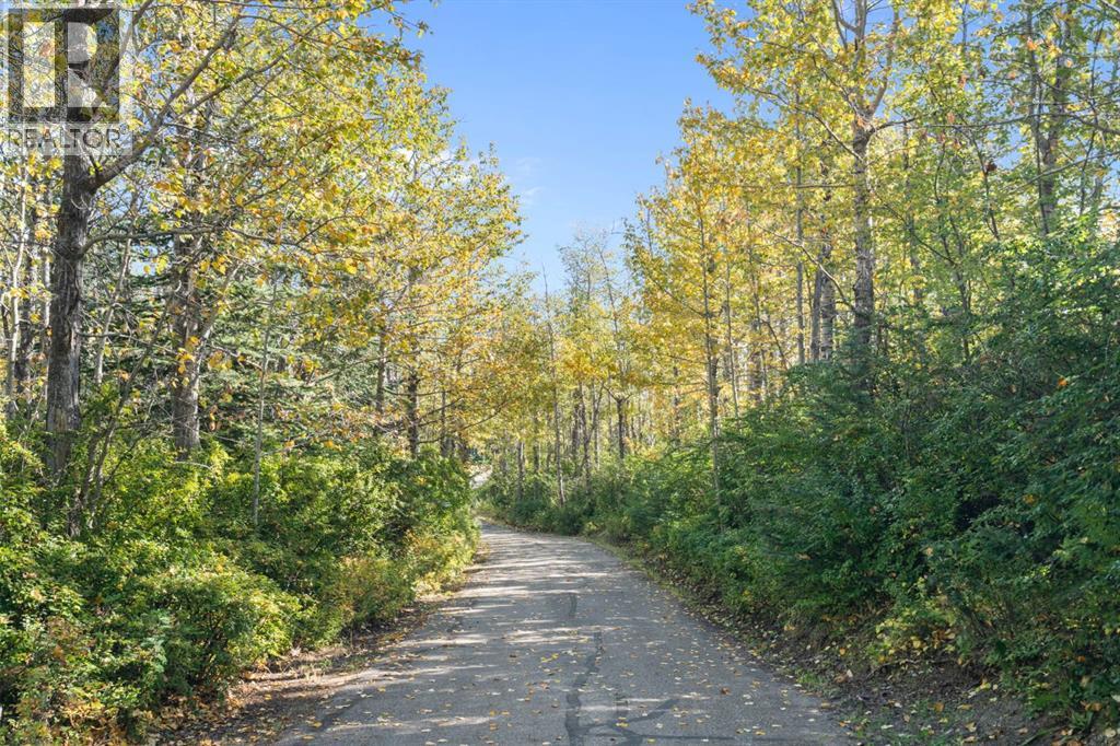 101 Nagway Court, Rural Rocky View County, Alberta  T3R 1A1 - Photo 49 - A2254240