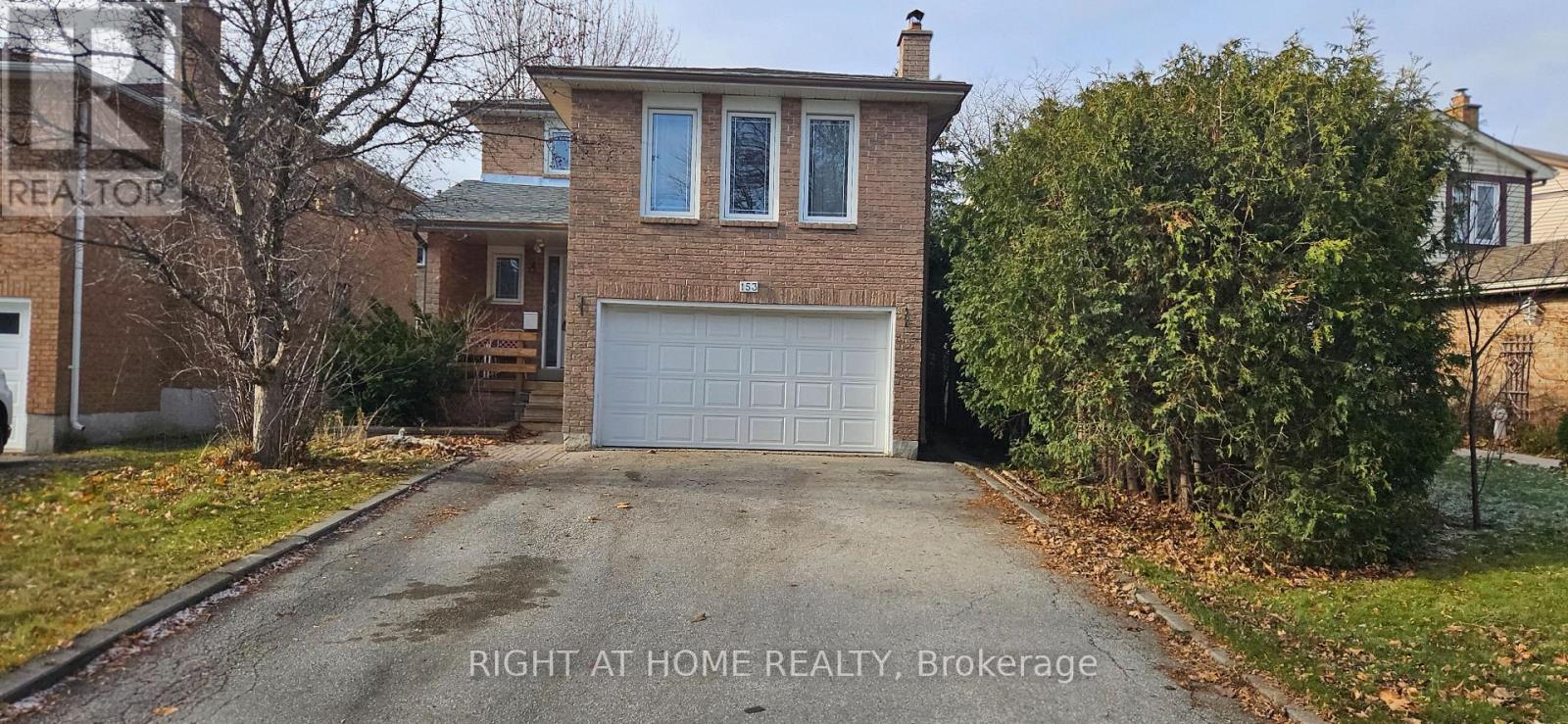 BASEMENT - 153 STEPHEN STREET, Richmond Hill, Ontario