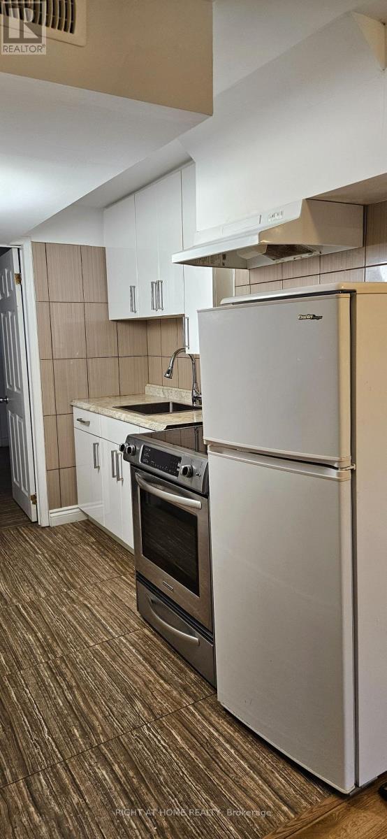 Basement - 153 Stephen Street, Richmond Hill, Ontario  L4C 5P9 - Photo 8 - N12639804