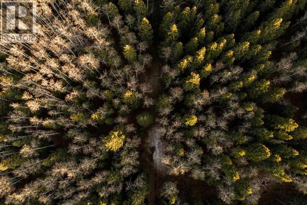 Water Valley Twp Rd 294a, Rural Mountain View County, Alberta  T0M 2E0 - Photo 10 - A2272102